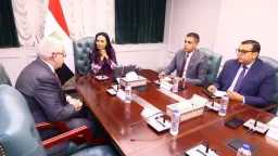 أخبار مصر