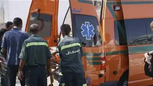 أخبار مصر
