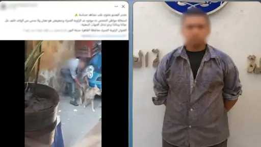 أخبار مصر