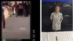 أخبار مصر