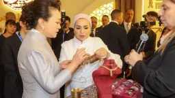أخبار مصر