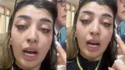 فن