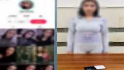 أخبار مصر