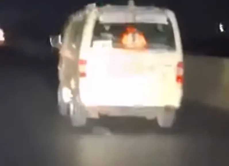 تريندات