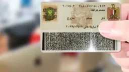 أخبار مصر