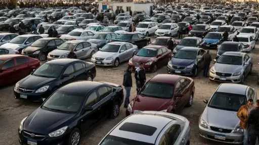 أخبار مصر
