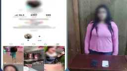أخبار مصر
