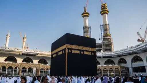 أخبار مصر