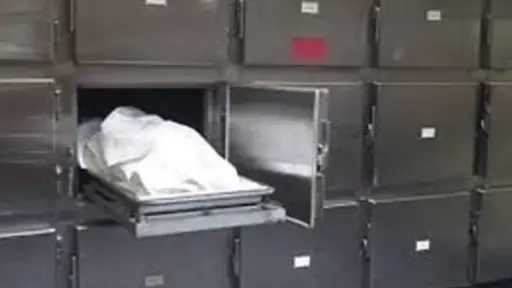 أخبار مصر