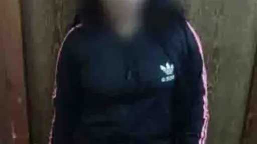 أخبار مصر