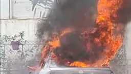 أخبار مصر
