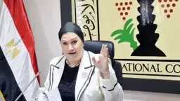 أخبار مصر