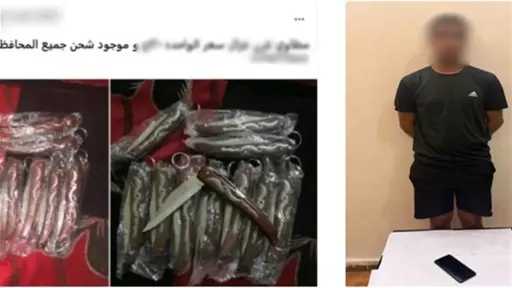 أخبار مصر