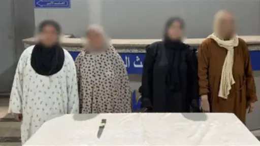 أخبار مصر