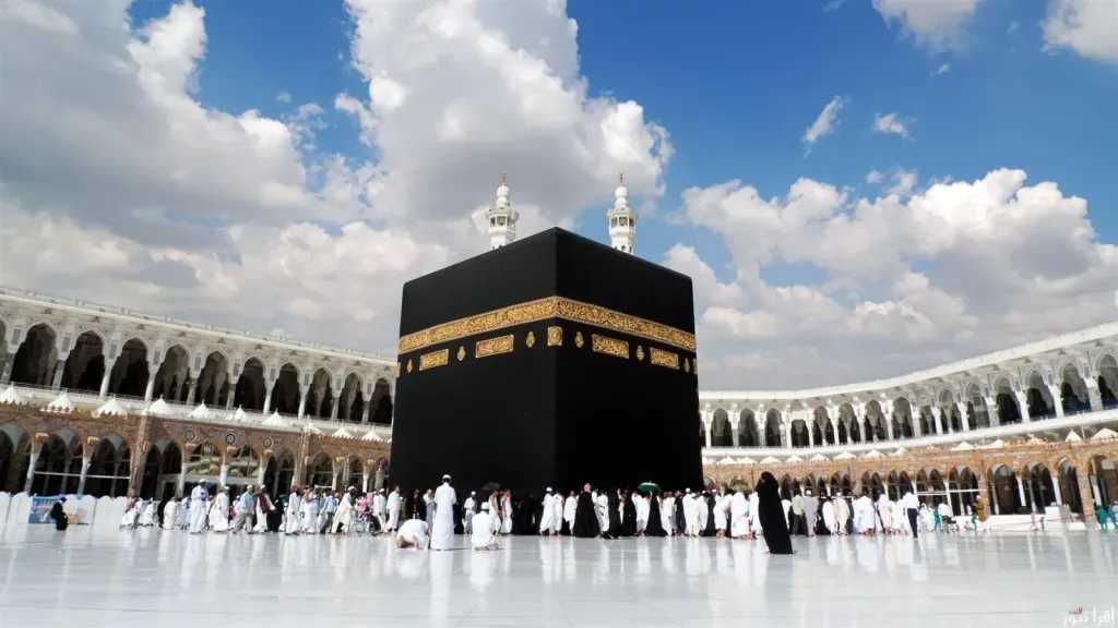 منوعات