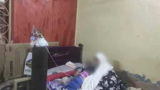 أخبار مصر