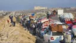 أخبار مصر
