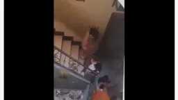 أخبار مصر