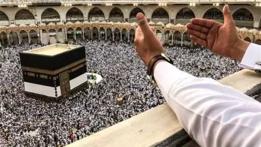 أخبار مصر