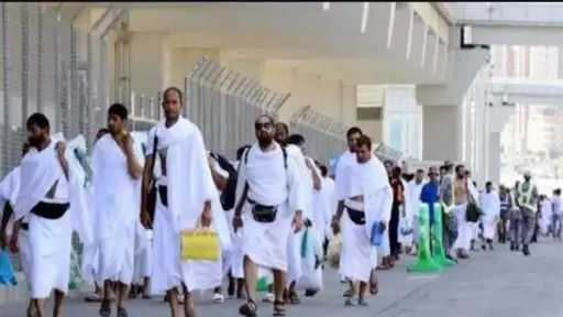 أخبار مصر