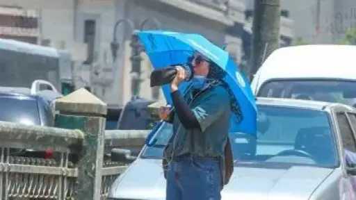أخبار مصر
