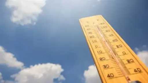 أخبار مصر
