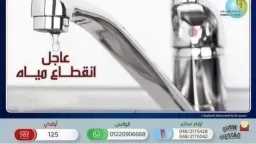 أخبار مصر