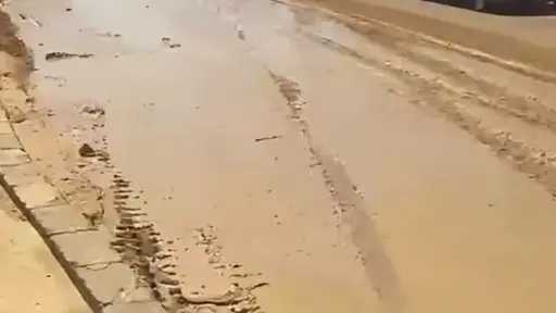 أخبار مصر