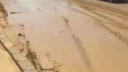 أخبار مصر