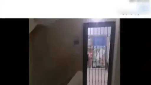 أخبار مصر