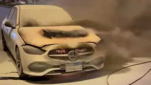 أخبار مصر