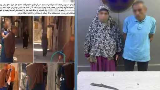 أخبار مصر