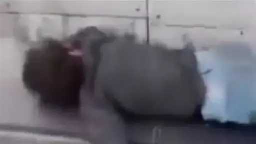 أخبار مصر