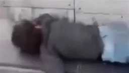 أخبار مصر