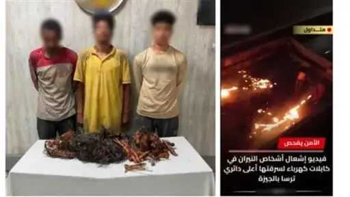 أخبار مصر