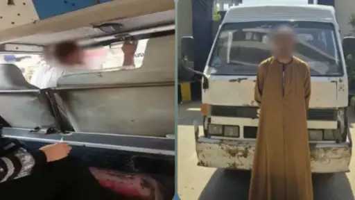 أخبار مصر