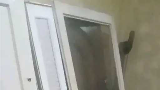 أخبار مصر