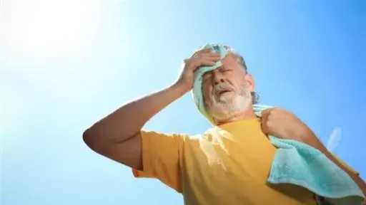 أخبار مصر