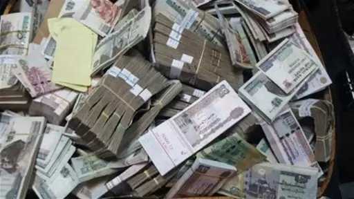 أخبار مصر