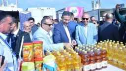 أخبار مصر