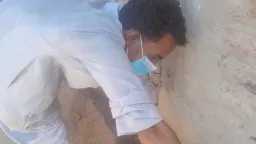 منوعات