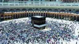 أخبار مصر