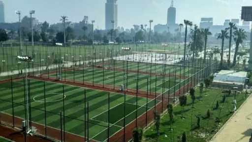 أخبار مصر