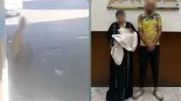 أخبار مصر