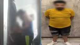 أخبار مصر