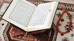 منوعات