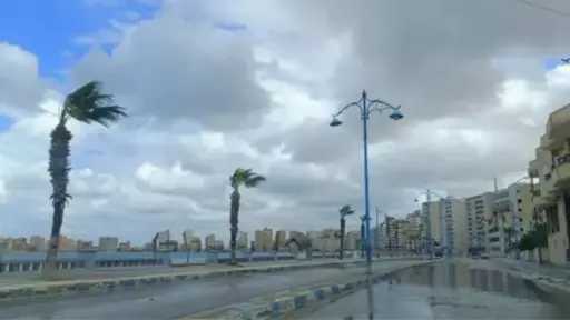 أخبار مصر
