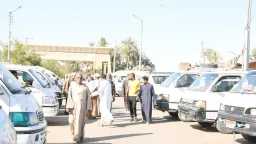 أخبار مصر