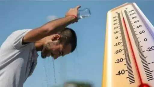 أخبار مصر