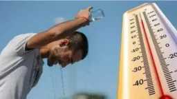 أخبار مصر